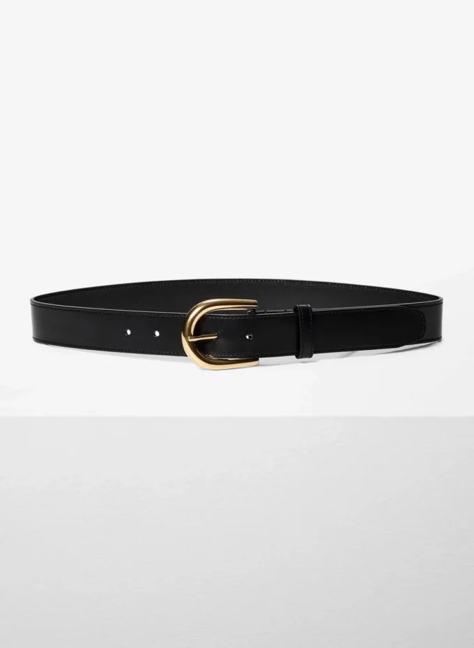 Accent Solid Brass Leather Wide Belt Accent Solid Brass Leather Wide Belt