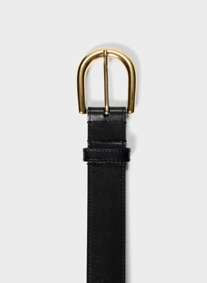 Accent Solid Brass Leather Wide Belt Accent Solid Brass Leather Wide Belt