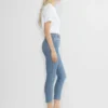 Denim Forum Nyla Hi-rise Skinny Jean
