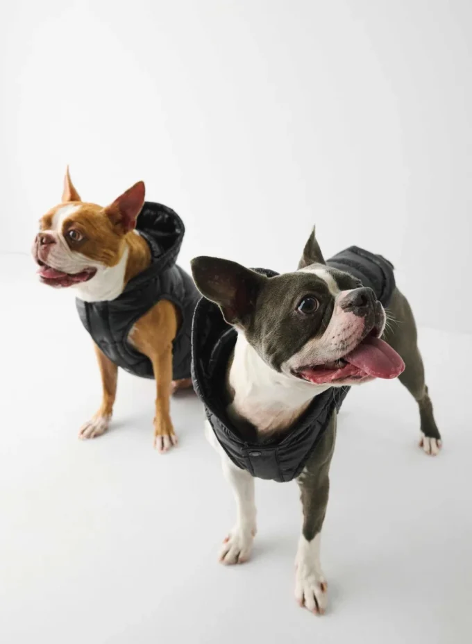 The Super Ruff Puff™ – Hi-Gloss The Super Ruff Puff™ – Hi-Gloss