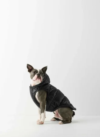 The Super Ruff Puff™ – Hi-Gloss