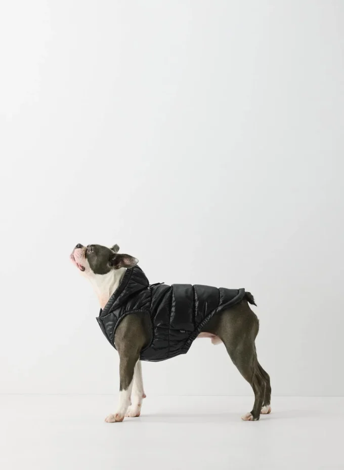 The Super Ruff Puff™ – Hi-Gloss The Super Ruff Puff™ – Hi-Gloss