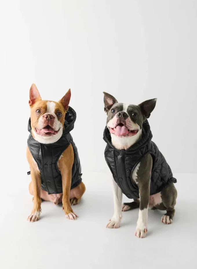 The Super Ruff Puff™ – Hi-Gloss The Super Ruff Puff™ – Hi-Gloss