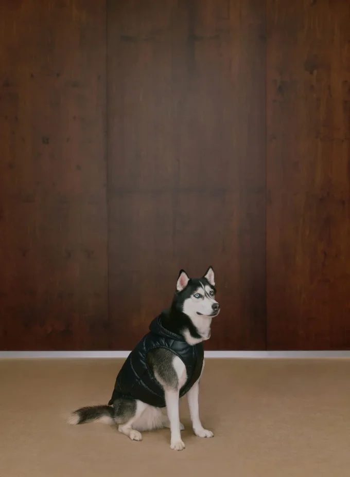 The Super Ruff Puff™ – Hi-Gloss The Super Ruff Puff™ – Hi-Gloss