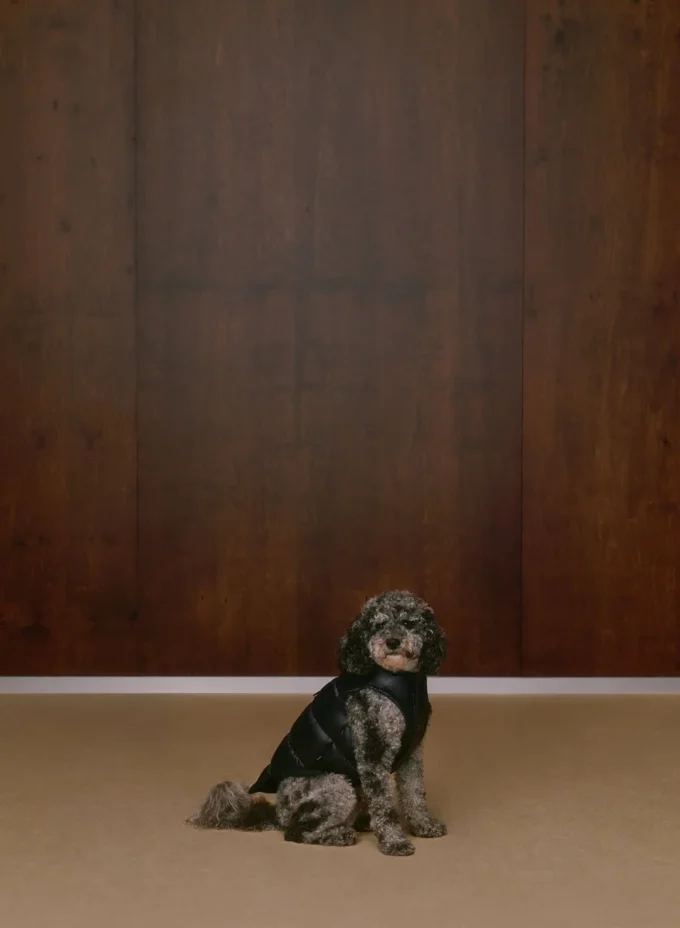 The Super Ruff Puff™ – Hi-Gloss The Super Ruff Puff™ – Hi-Gloss